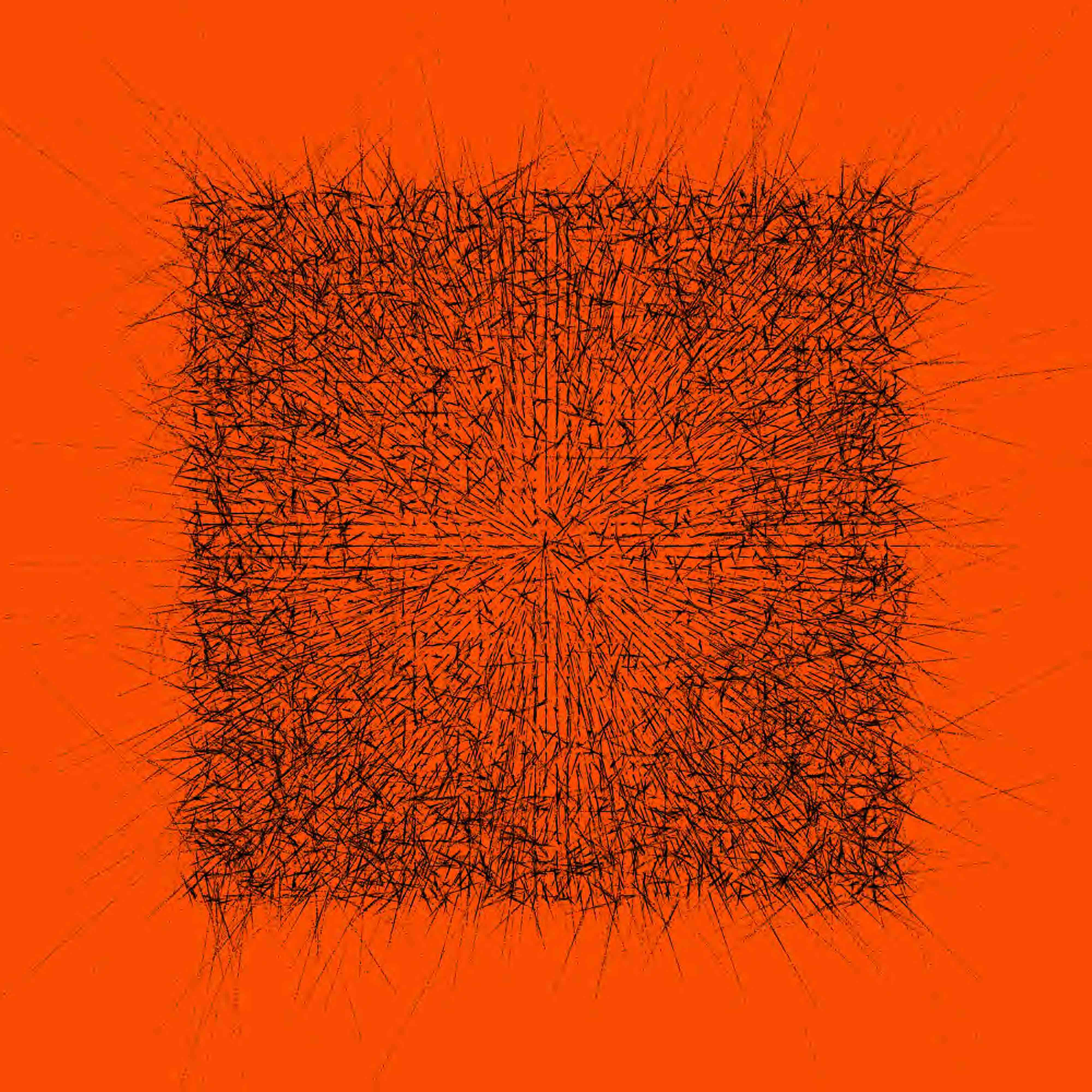 hom164